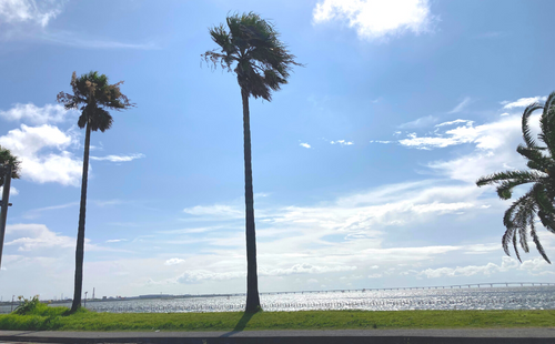 千葉フォルニアと呼ばれている袖ヶ浦市の海岸沿い